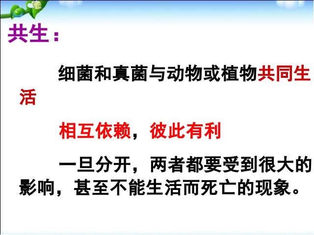 初二上册生物生物5.4.4细菌和真菌在自然界中的作用精品第10页