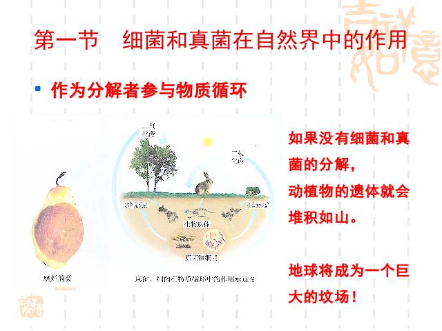 初二上册生物生物5.4.4细菌和真菌在自然界中的作用教研课第8页