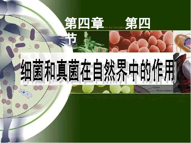 初二上册生物生物5.4.4细菌和真菌在自然界中的作用优质课第5页