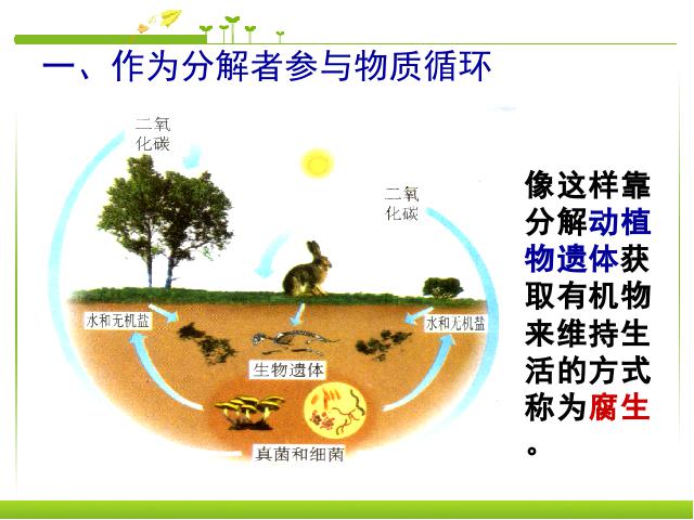 初二上册生物生物教研课ppt5.4.4细菌和真菌在自然界中的作用课件第3页