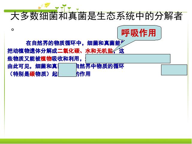 初二上册生物生物教研课ppt5.4.4细菌和真菌在自然界中的作用课件第4页