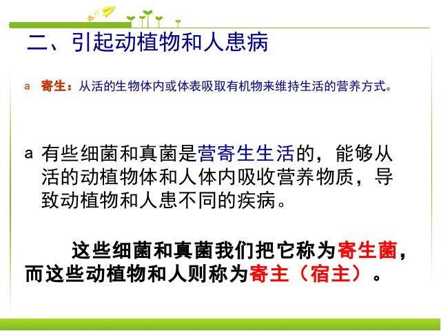 初二上册生物生物教研课ppt5.4.4细菌和真菌在自然界中的作用课件第6页