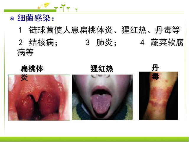 初二上册生物生物教研课ppt5.4.4细菌和真菌在自然界中的作用课件第7页