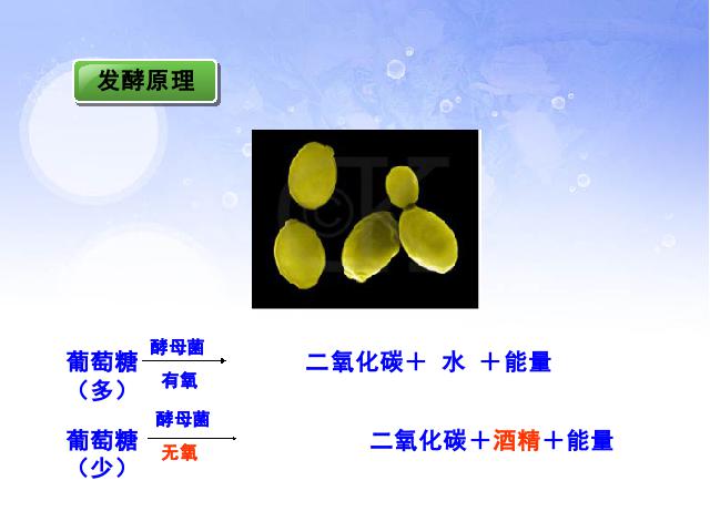 初二上册生物5.4.5人类对细菌和真菌的利用ppt比赛获奖教学课件第9页