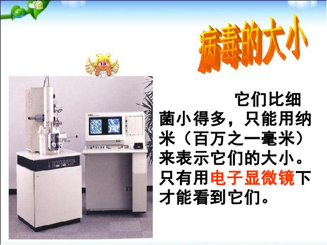 初二上册生物生物5.5病毒优质课ppt课件下载第7页