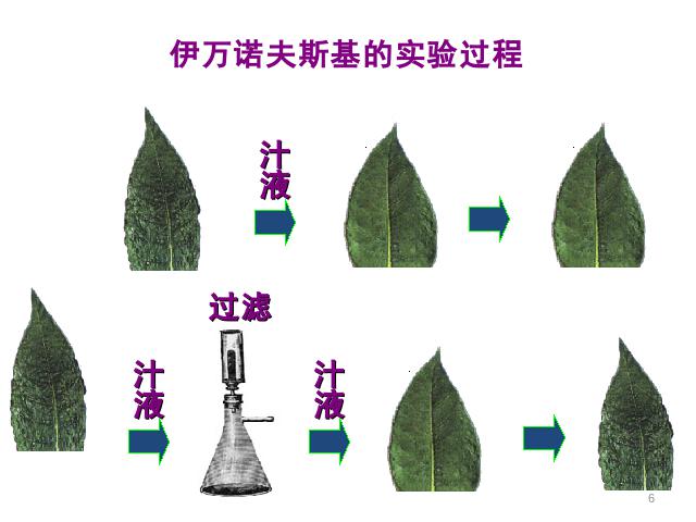 初二上册生物5.5病毒PPT教学自制课件(生物)第6页