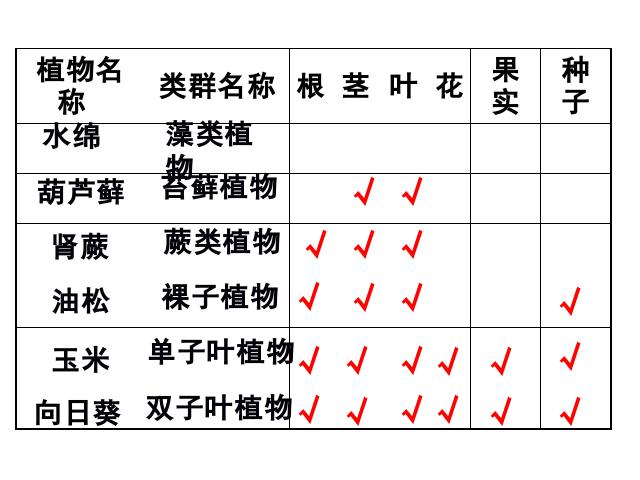 初二上册生物生物6.1.1尝试对生物进行分类优质课ppt课件下载第7页