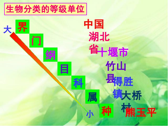 初二上册生物生物6.1.2从种到界上课下载第6页