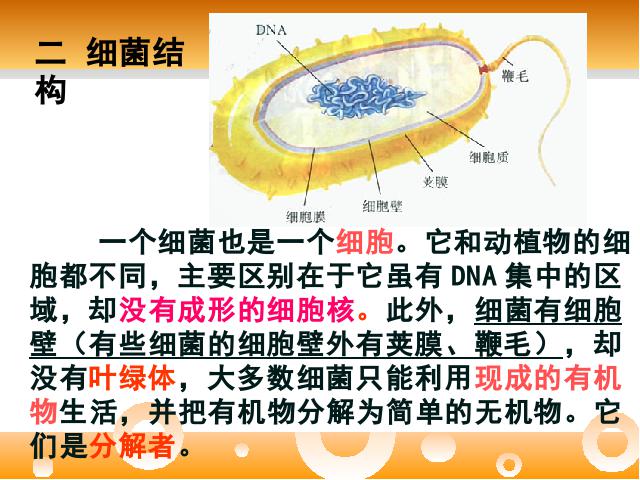 初二上册生物生物期末总复习资料ppt比赛获奖教学课件第10页