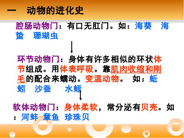 初二上册生物生物期末总复习资料ppt比赛获奖教学课件第3页