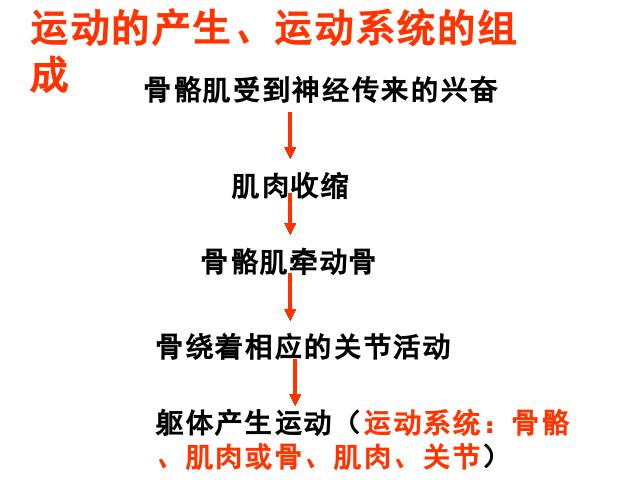 初二上册生物生物期末总复习资料优秀获奖第7页