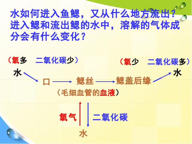 初二上册生物生物期末总复习资料上课下载第3页