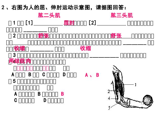 初二上册生物生物期末总复习资料优质课ppt课件下载第7页