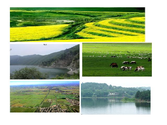 初二上册地理地理中国的自然环境第1节地形和地势精品第3页