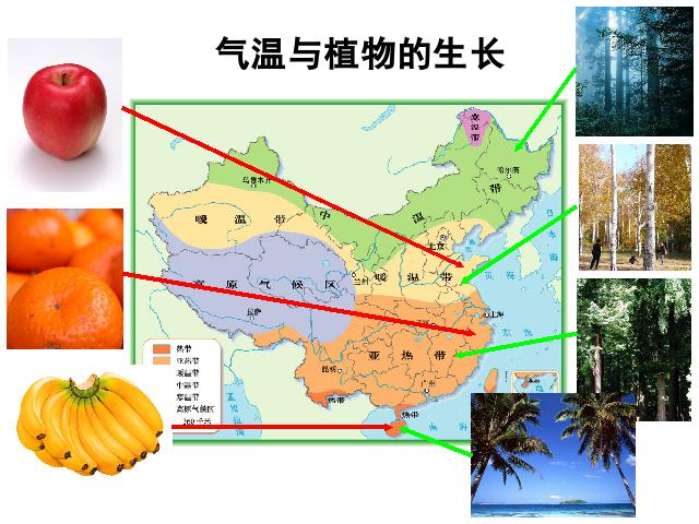 初二上册地理中国的自然环境第2节气候地理公开课第8页