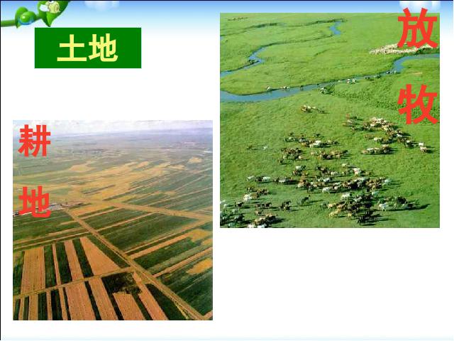 初二上册地理地理中国自然资源的基本特征精品第3页