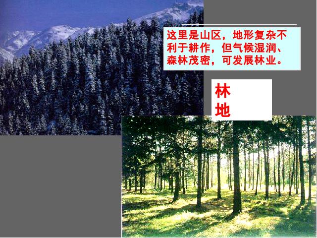 初二上册地理地理中国的自然资源土地资源ppt原创课件（）第4页