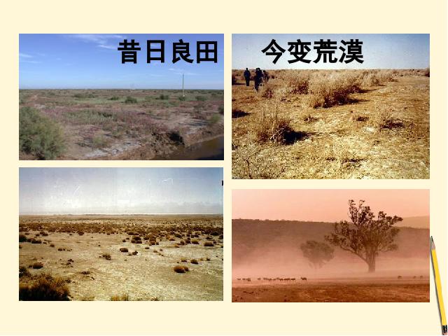 初二上册地理地理中国的自然资源土地资源优质课ppt课件下载第10页