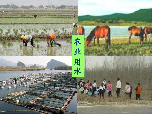 初二上册地理地理中国的自然资源水资源精品第5页