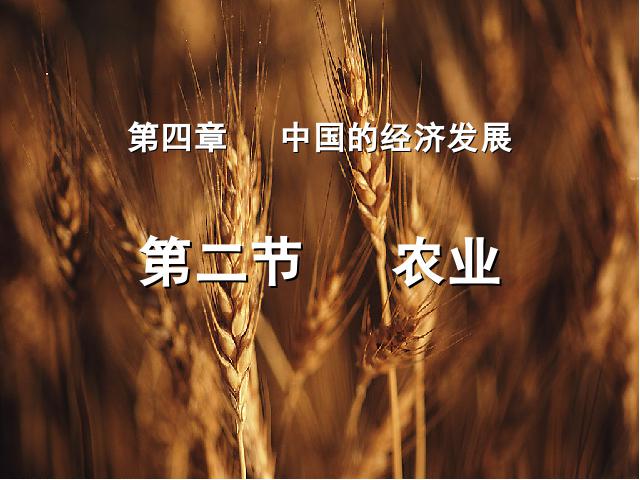 初二上册地理中国的经济发展农业PPT教学自制课件(地理)第1页