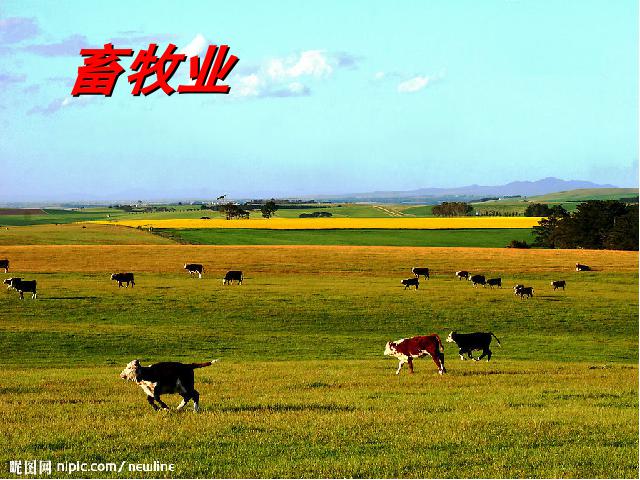 初二上册地理中国的经济发展农业PPT教学自制课件(地理)第6页