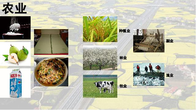 初二上册地理地理中国的经济发展农业优质课ppt课件下载第3页