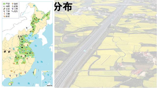 初二上册地理地理中国的经济发展农业优质课ppt课件下载第6页