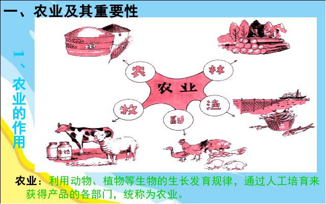 初二上册地理地理中国的经济发展农业ppt原创课件（）第4页