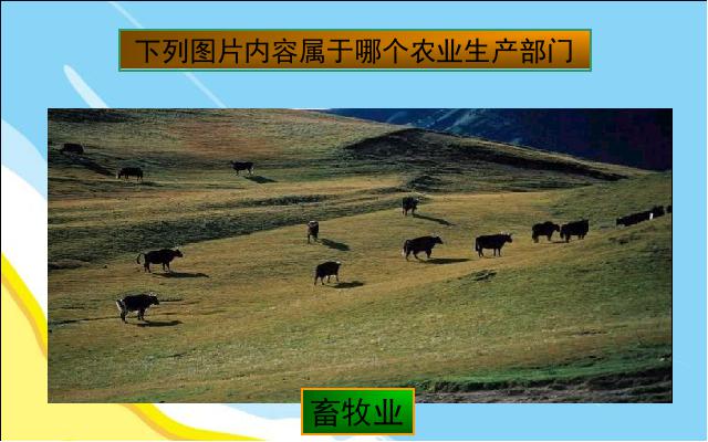 初二上册地理地理中国的经济发展农业ppt原创课件（）第8页