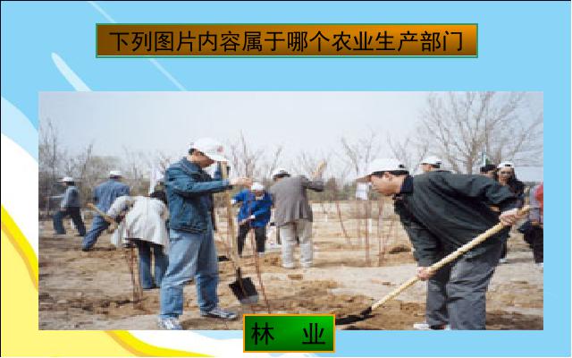 初二上册地理地理中国的经济发展农业ppt原创课件（）第9页