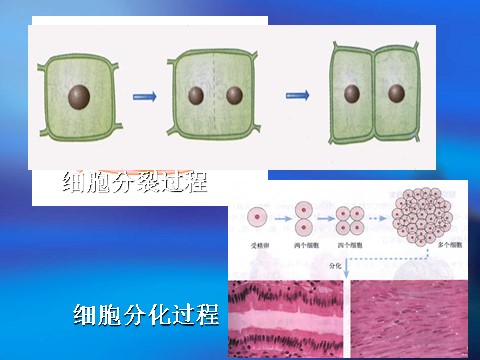 初二下册科学（教科版）公开课2.1模型、符号的建立与作用ppt课件第6页