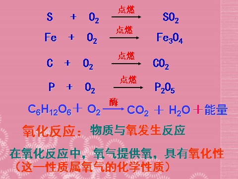 初二下册科学（教科版）新浙教版八年级科学3.2氧化和燃烧ppt课件第9页