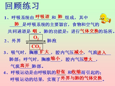 初二下册科学（教科版）新浙教版八下科学优质课3.5生物的呼吸和呼吸作用ppt课件第1页