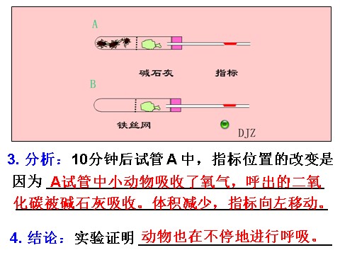 初二下册科学（教科版）新浙教版八年级科学3.5生物的呼吸和呼吸作用课件ppt第10页