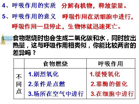 初二下册科学（教科版）新浙教版八年级科学3.5生物的呼吸和呼吸作用课件ppt第6页