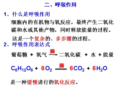 初二下册科学（教科版）新浙教版八下科学3.5生物的呼吸和呼吸作用ppt课件第4页