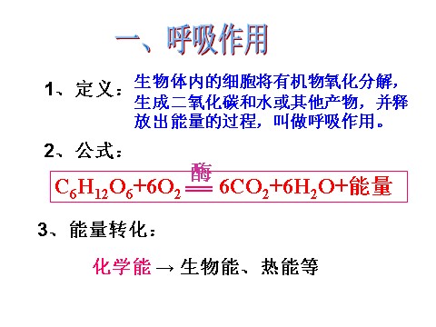 初二下册科学（教科版）新浙教版八年级科学3.5生物的呼吸和呼吸作用ppt课件第4页