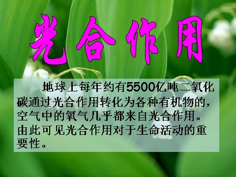 初二下册科学（教科版）新浙教版八年级科学3.6光合作用ppt课件第1页