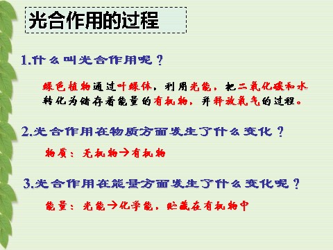 初二下册科学（教科版）新浙教版八年级科学3.6光合作用课件ppt第8页