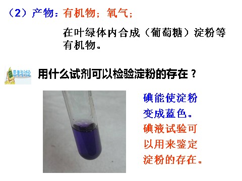 初二下册科学（教科版）新浙教版八年级科学优质课3.6光合作用ppt课件第10页