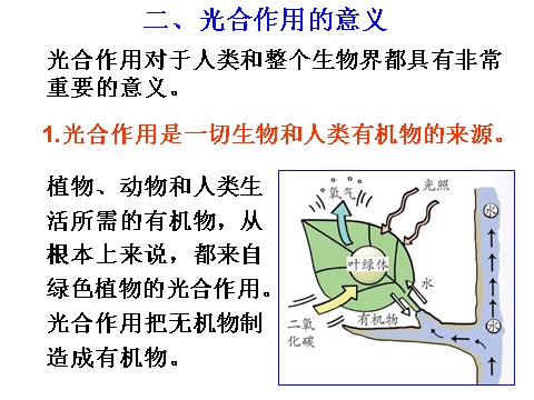 初二下册科学（教科版）新浙教版八年级科学优质课3.6光合作用ppt课件第6页