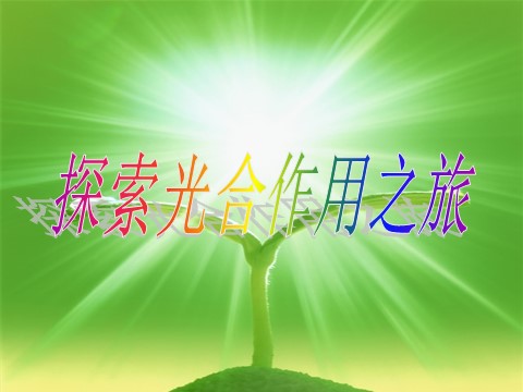 初二下册科学（教科版）新浙教版八年级科学公开课3.6光合作用ppt课件第3页