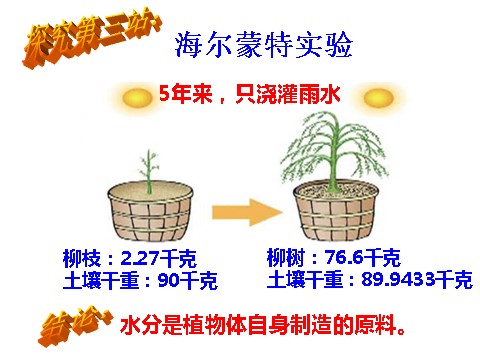 初二下册科学（教科版）新浙教版八年级科学公开课3.6光合作用ppt课件第8页