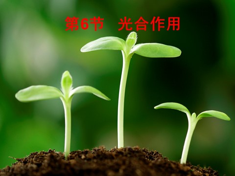 初二下册科学（教科版）新浙教版八下科学3.6光合作用ppt课件第1页