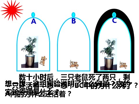 初二下册科学（教科版）新浙教版八下科学3.6光合作用ppt课件第8页