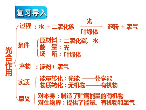 初二下册科学（教科版）八年级科学新浙教版3.6光合作用ppt课件第1页