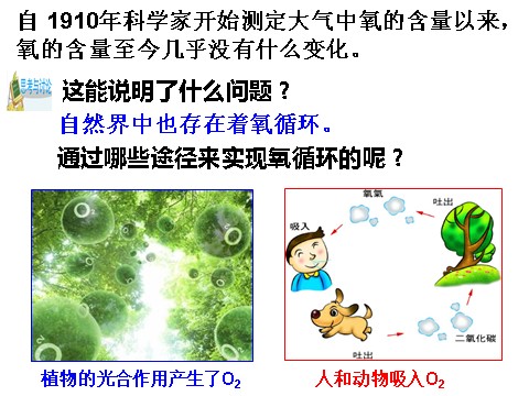 初二下册科学（教科版）新浙教版八年级科学3.7自然界中氧循环和碳循环课件ppt第6页