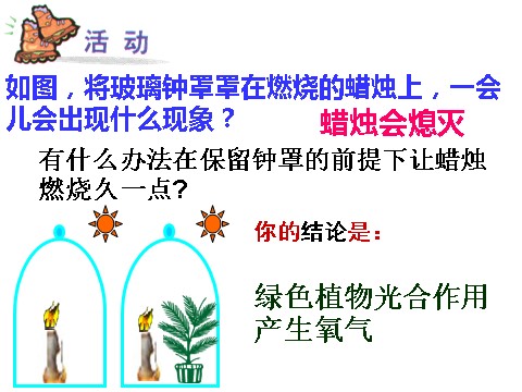 初二下册科学（教科版）八年级科学3.7自然界中氧循环和碳循环ppt课件第4页