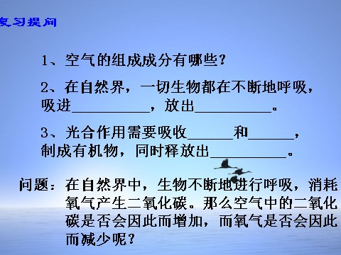 初二下册科学（教科版）3.7自然界中氧循环和碳循环ppt课件(新浙教版)第3页