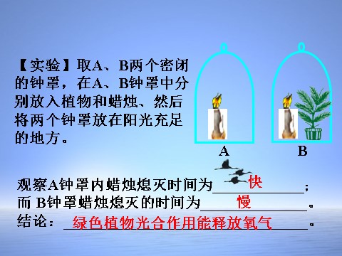 初二下册科学（教科版）3.7自然界中氧循环和碳循环ppt课件(新浙教版)第5页